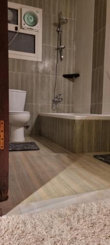 a bathroom with a shower and a toilet and a tub at Tara Home 204 in Sheikh Zayed