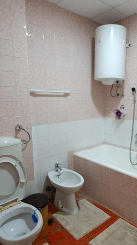 a bathroom with a toilet and a bath tub at Villa Tira in Jajce