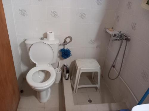 a small bathroom with a toilet and a shower at ΑΝΝΑ'S Πύργος - ΣΑΜΟΣ in Pýrgos