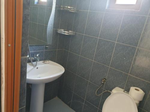 a bathroom with a sink and a toilet at First American Inn in Borsh