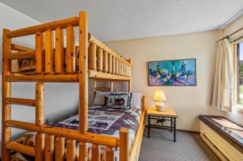 a bedroom with a bunk bed and a ladder at Chipmunk in Clark