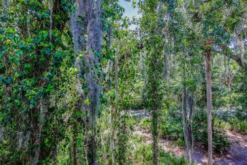 Treetops 5501 photo 36