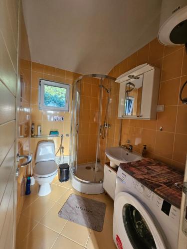 a bathroom with a toilet and a sink and a washing machine at Gabi in Ðuraševići