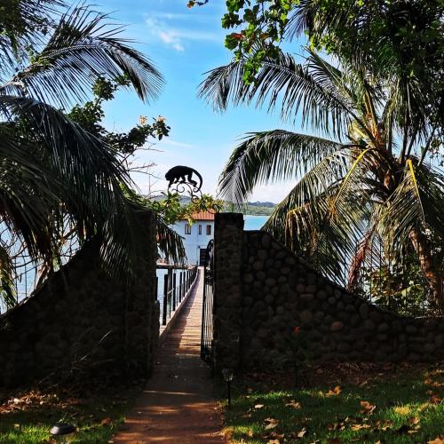 a path leading to a house with palm trees at Amazing Grace Panamá in Boca Chica