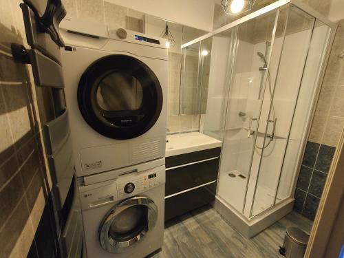 a small bathroom with a washing machine and a shower at La Clé des Vignes 3 in Roye
