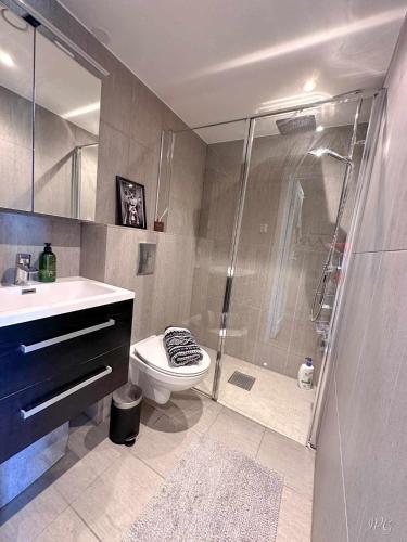a bathroom with a shower and a toilet and a sink at Kikuttoppen in Hol
