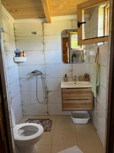 a small bathroom with a toilet and a sink at Woodhouse Maja in Virpazar