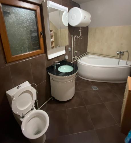 a bathroom with a toilet and a tub and a sink at Wolf Chalet in Motički Gaj
