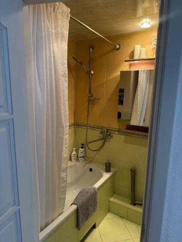 a bathroom with a tub and a shower with a shower curtain at Apartment Ventspils iela 22 in Rēzekne
