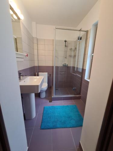 a bathroom with a shower and a sink and a toilet at Vila Laura 1 in Sovata