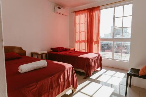 a hotel room with two beds and a window at PELICAN TOURS in Puerto Baquerizo Moreno