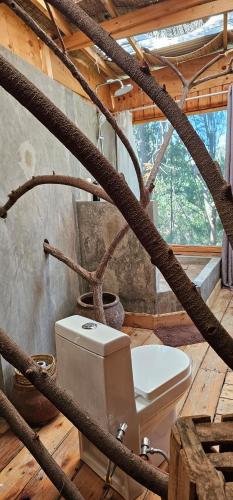 a bathroom with a white toilet in a building at Hidden Valley Backpackers in Iringa