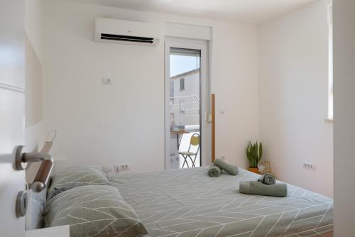 Alba City App