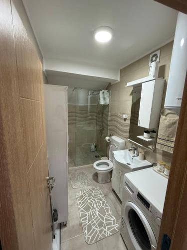 a bathroom with a toilet and a washing machine at Studio Apartman Gracia in Plužine