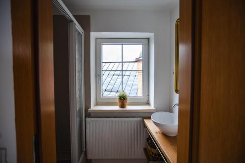 a bathroom with a sink and a window at Franz 38 - Appartement Hallstatt in Hallstatt