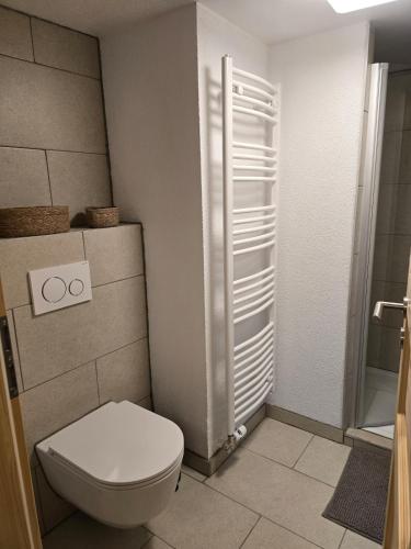 a small bathroom with a toilet and a shower at Le Repos du Jorat in Saint-Maurice