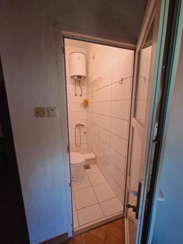 a small bathroom with a toilet and a shower at Camping 999 Jablaničko jezero in Železnička Stanica Ostrožac