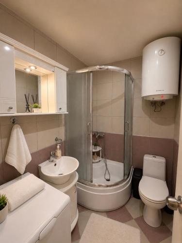 a bathroom with a shower and a toilet and a sink at Sunset Apartman Obrenovac,Centar in Obrenovac