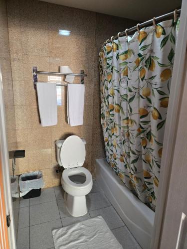 a bathroom with a toilet and a shower curtain at Evans Motel in Maywood