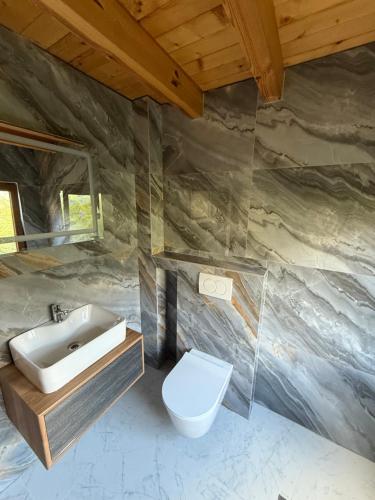 a bathroom with a sink and a toilet at Rosi peak Guesthouse in Valbonë
