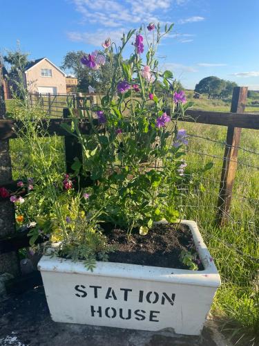 aption house sign in a pot with flowers in it at West Coast Whistlestop in Ochiltree