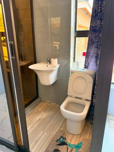 a bathroom with a toilet and a sink at Diana's Place Guest house in Nyanda