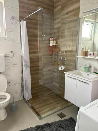 a bathroom with a shower and a toilet and a sink at Davidovic House in Amzići