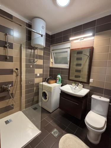 a bathroom with a toilet and a sink and a shower at Villa Pontem in Komarna