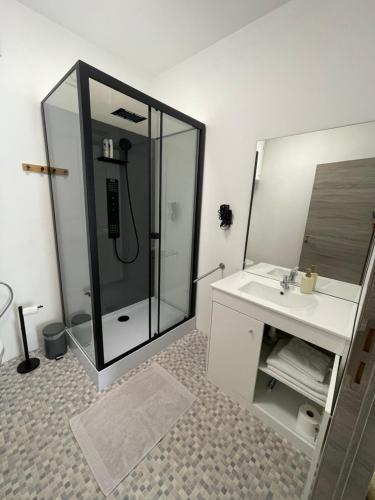 a bathroom with a shower and a sink and a mirror at Appartement Dio in Dinant