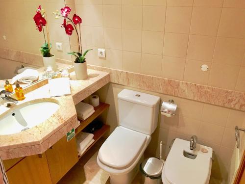 フンシャルにあるPalms Palace Funchal Suiteのバスルーム(トイレ、洗面台付)