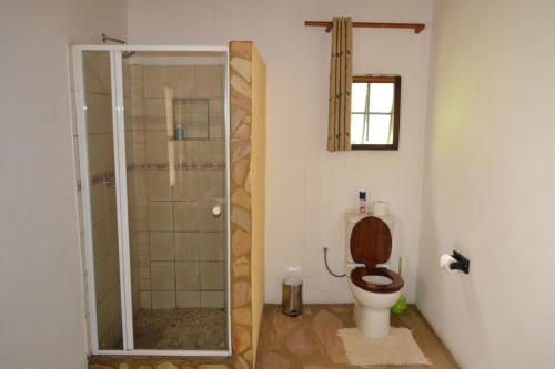 a bathroom with a toilet and a glass shower at Tambuti lodge in Rundu