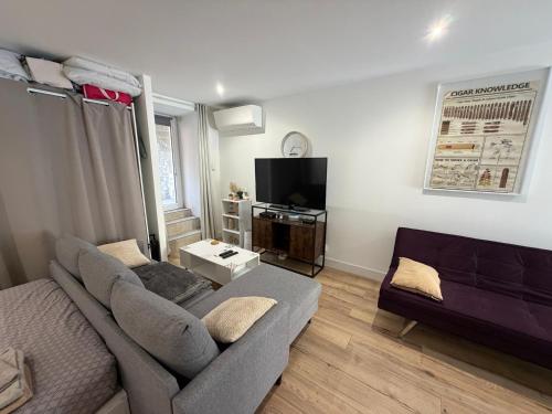 a living room with a couch and a tv at Studio centre village in Bocognano