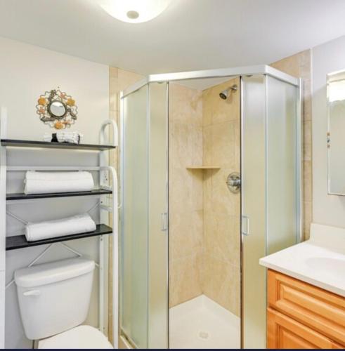 a bathroom with a shower and a toilet and a sink at Elmont Escape Studio in Elmont