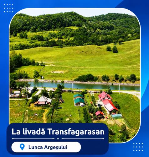 an aerial view of a village in a green field at LA LIVADA in Valea Danului