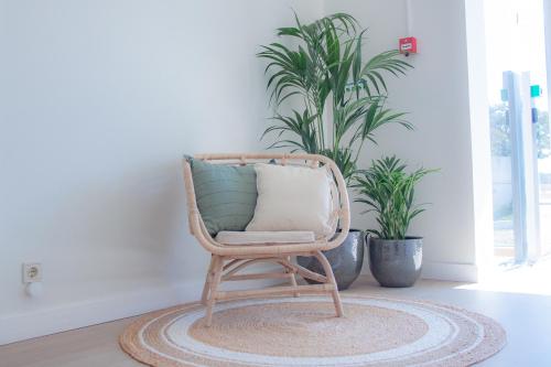 a rattan chair with a pillow in a room with plants at HOTEL SLOW STAY - Esposende in Esposende
