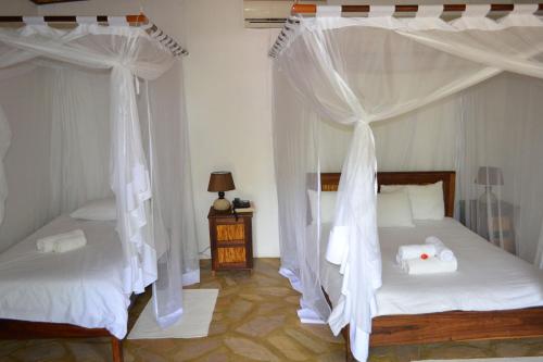 two beds with white drapes in a bedroom at Tambuti lodge in Rundu
