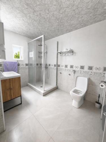 a bathroom with a shower and a toilet and a sink at The Friends Hostel & Sauna in Kutaisi