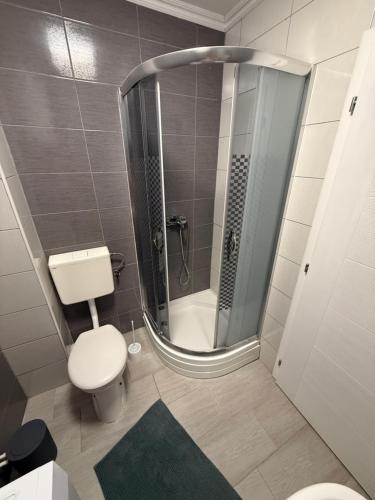 a small bathroom with a shower and a toilet at Apartment Lunette in Mostar