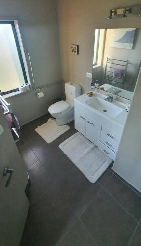 a bathroom with a toilet and a sink and a mirror at Peter Country Retreat in Midhirst