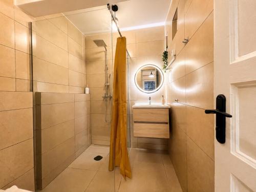 a bathroom with a shower and a sink at Studio confort Passamainty in Mamoudzou