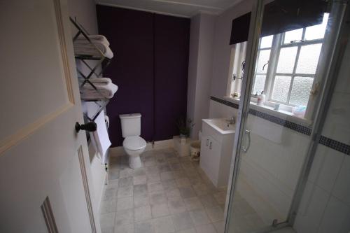 a bathroom with a toilet and a glass shower door at The Old Bear Inn in Cricklade