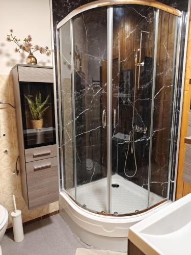 a shower with a glass door in a bathroom at DIVA Studio in St. Blasien