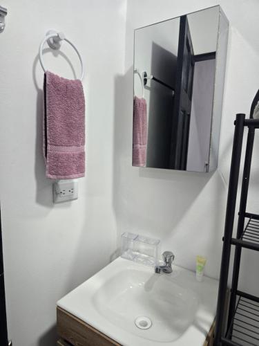 a bathroom with a sink and a mirror at Apartamentos Torres Manuel Antonio in Manuel Antonio