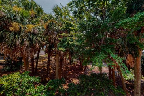 a row of palm trees on a beach at Sea Sea Rider in Edisto Beach