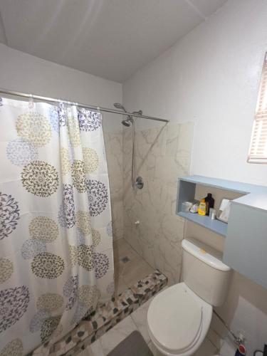 a bathroom with a shower curtain and a toilet at Gloria's Hideaway in Christ Church