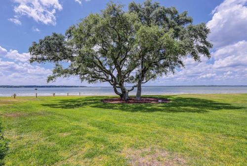 Schooner Court 705 photo 20