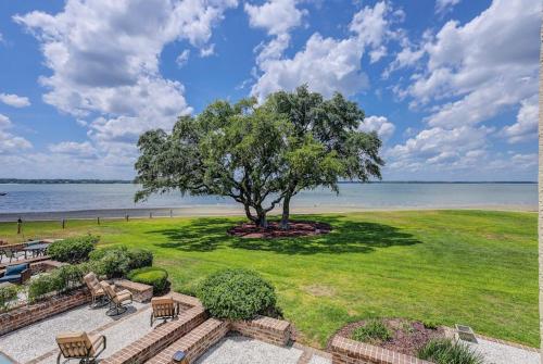 Schooner Court 705 photo 22