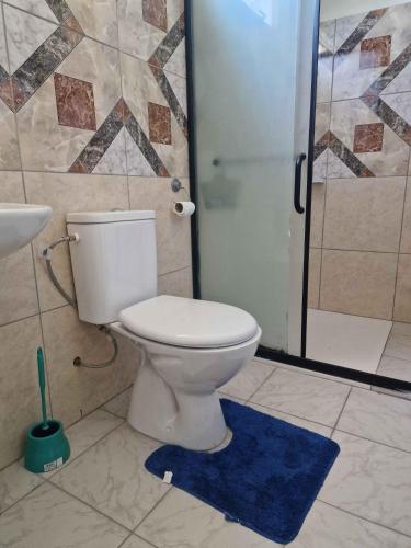 a bathroom with a toilet and a shower and a blue rug at Takava Lodge in Fakarava