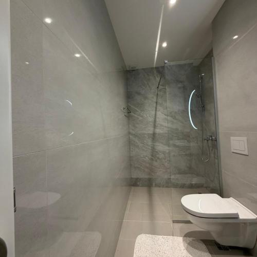a bathroom with a shower and a toilet at Vi Lux Apartments in Visoko
