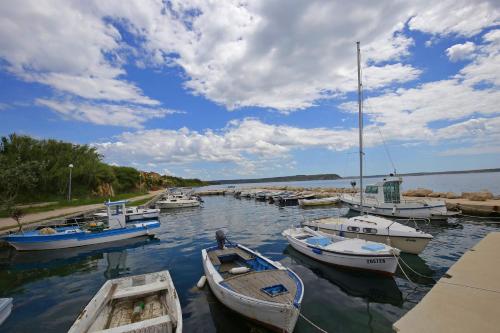 a group of boats are docked in a harbor at Apartments Anka in Rtina
